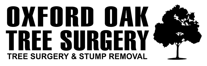 Oxford Oak Tree Surgery – Thame Tree Surgeon covering Buckinghamshire, Oxfordshire and surrounding areas